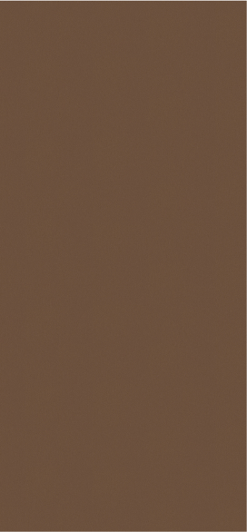 Кромка F528 ST20 2,0*35 мм Металл брашированный бронзовый (75 м бухта) Egger